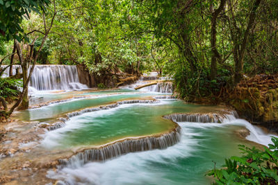 Scenic view of waterfall in forest