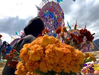 Close-up of multi colored flowering plants