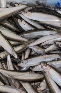 Close-up of fish in market