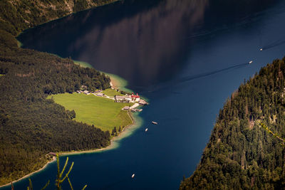 High angle view of trees by lake