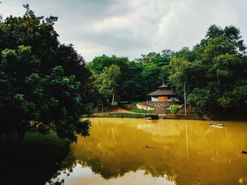 Trees by lake against sky