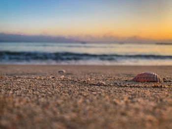 Surface level of beach against sky during sunset