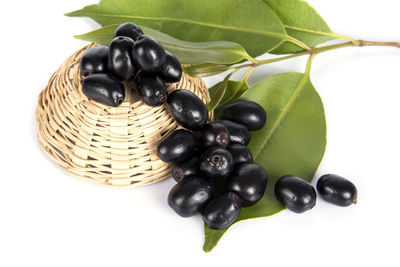 Close-up of black fruit against white background