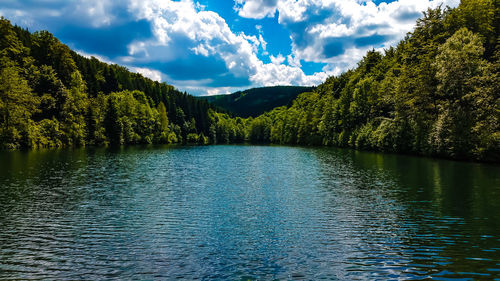 Scenic view of lake by trees against sky