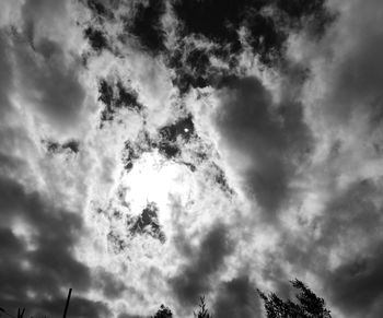 Low angle view of trees against sky