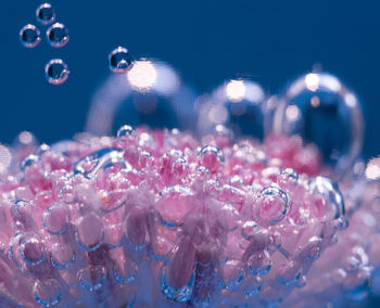 Close-up of bubbles in water