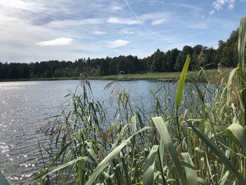 Scenic view of lake against sky