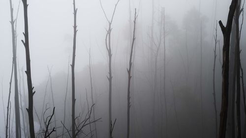 Scenic view of snow covered land against sky