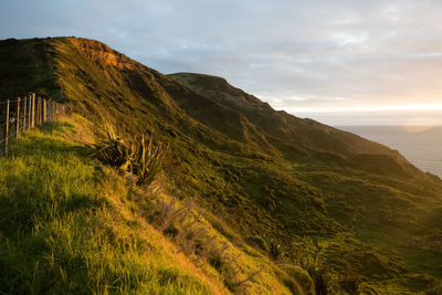 Scenic view of land against sky