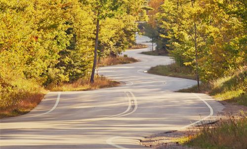 Road amidst trees during autumn