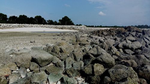 Scenic view of beach against sky