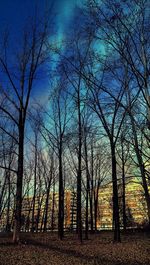 Bare trees on field against sky