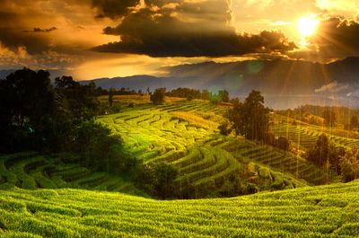 Terrace field by mountains against cloudy sky during sunset