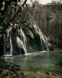 Scenic view of waterfall in forest