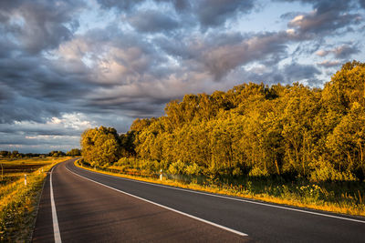 Road by trees against sky