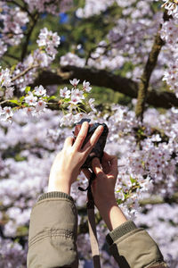 Close-up of woman photographing flower
