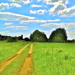 Scenic view of field against sky