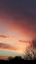 Silhouette of birds flying against orange sky