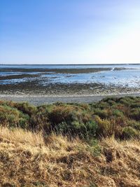 Scenic view of sea against clear sky