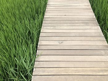 High angle view of boardwalk on field