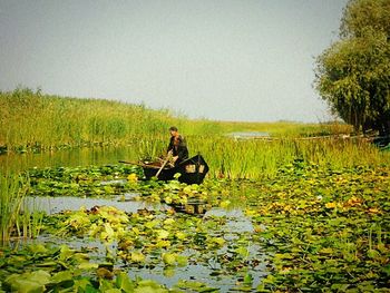 Man sitting on bench in lake