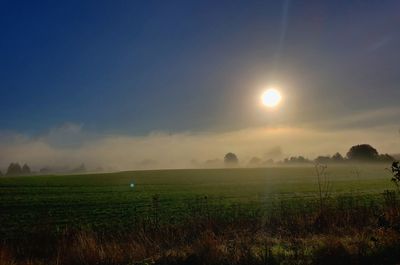 Another beautiful fall foggy oregon morning