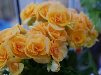Close-up of yellow rose bouquet