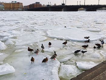 Scenic view of frozen lake during winter