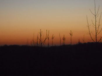 Silhouette of landscape at sunset