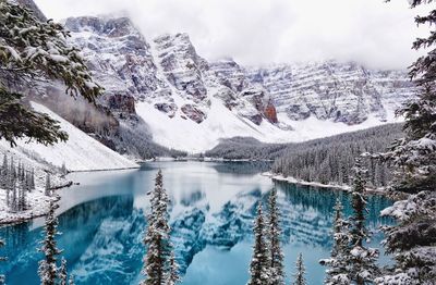 Reflection of trees in lake against sky