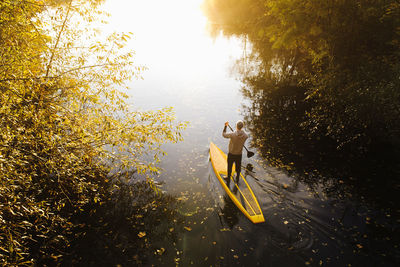 Man rowing paddle board in water, elevated view