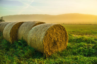 Hay bales on grassy field during sunrise