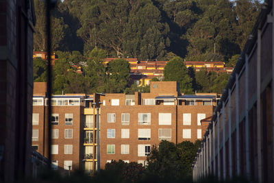 High angle view of trees and buildings in city