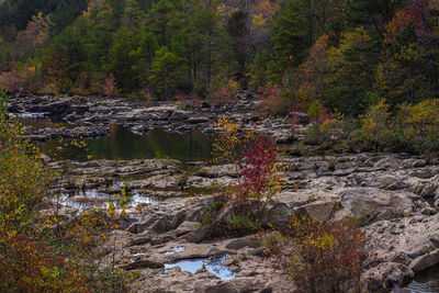 Stream flowing through rocks in forest