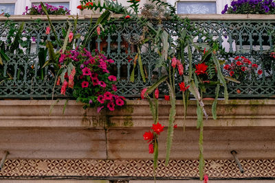 Red flower pot on railing against plants