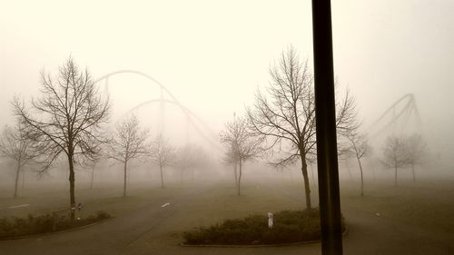 Bare trees at park against sky during foggy weather