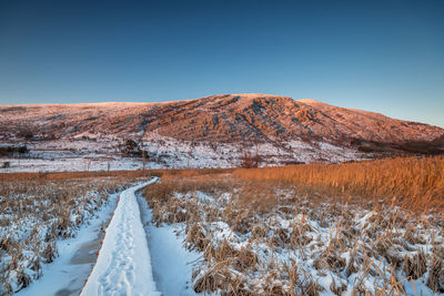 Winter forest on the river at sunset.