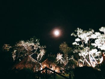 Low angle view of illuminated tree against sky at night