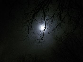 Low angle view of bare tree against moon at night