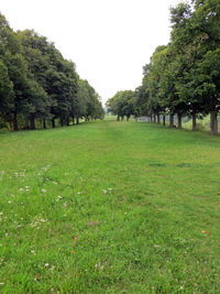 Trees on field against clear sky