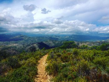 Scenic view of landscape against sky