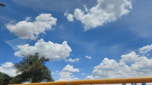 Low angle view of trees against sky