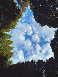 Low angle view of silhouette trees against sky