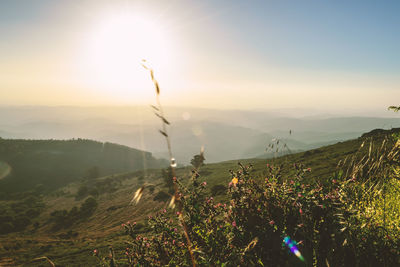 Scenic view of landscape against sky during sunset