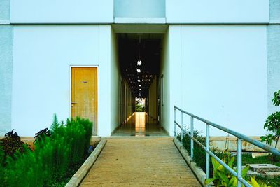 Empty footpath amidst buildings in city