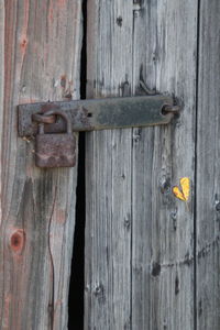 Close-up of old wooden door