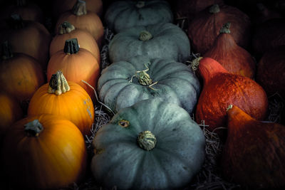 Full frame shot of pumpkins