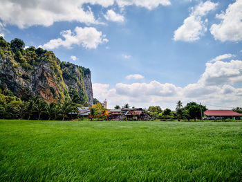 Scenic view of field against sky