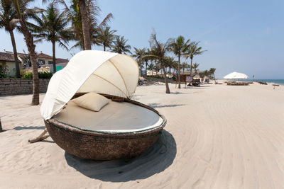 View of palm trees on beach