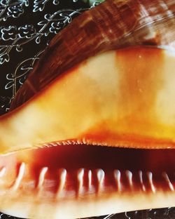 Close-up of cropped object